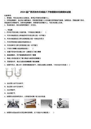 2024届广西河池市天峨县八下物理期末经典模拟试题含解析.doc