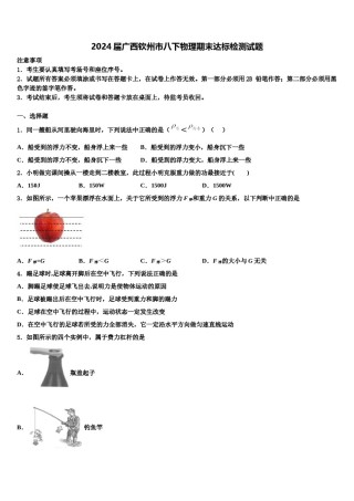 2024届广西钦州市八下物理期末达标检测试题含解析.doc