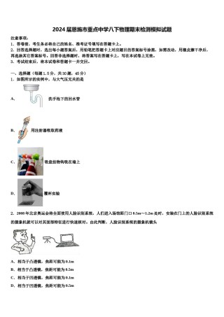 2024届恩施市重点中学八下物理期末检测模拟试题含解析.doc