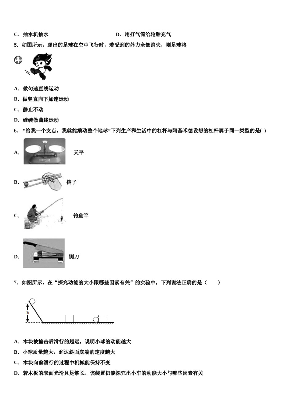 2024届惠州市第五中学八下物理期末达标检测试题含解析.doc_第2页