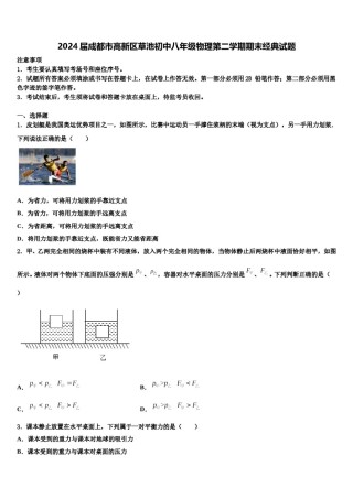 2024届成都市高新区草池初中八年级物理第二学期期末经典试题含解析.doc