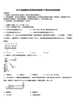 2024届成都青羊区四校联考物理八下期末达标检测试题含解析.doc