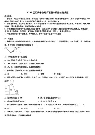 2024届拉萨市物理八下期末质量检测试题含解析.doc