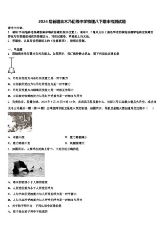 2024届新疆吉木乃初级中学物理八下期末检测试题含解析.doc