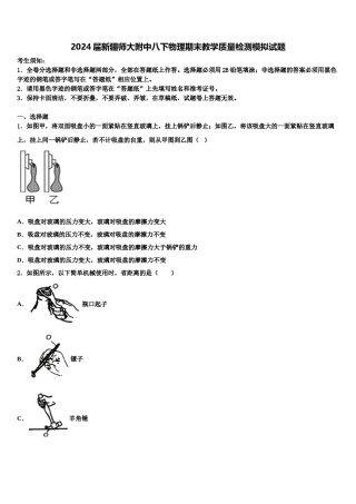 2024届新疆师大附中八下物理期末教学质量检测模拟试题含解析.doc