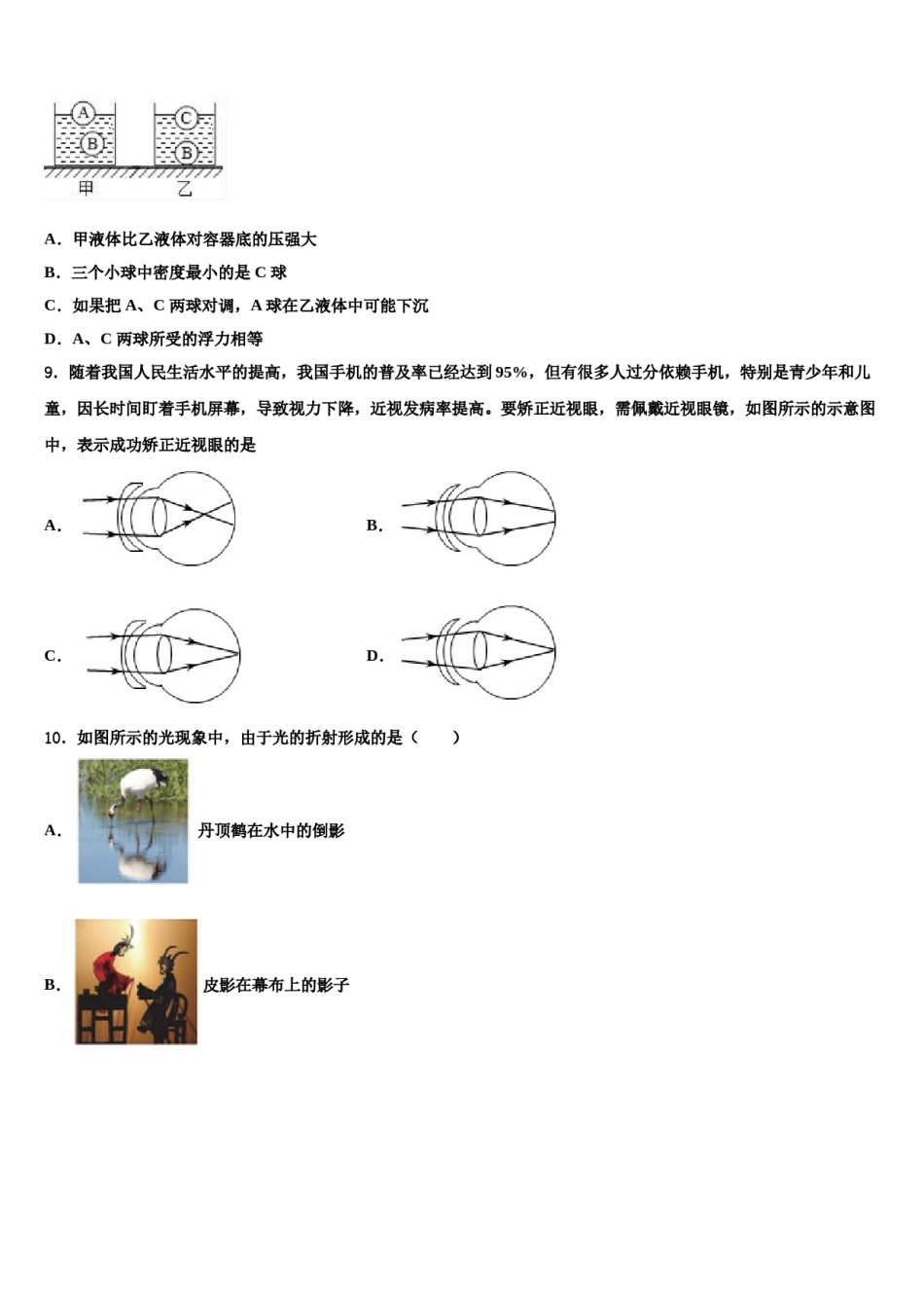 2024届朔州市重点中学物理八下期末质量跟踪监视试题含解析.doc_第3页