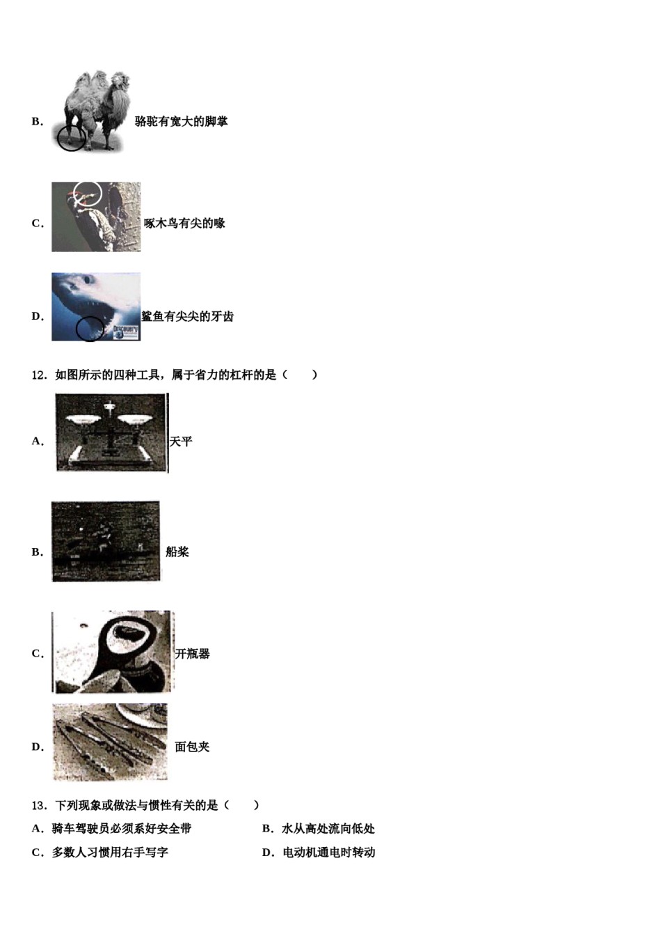 2024届枣庄市第三十二中学八下物理期末教学质量检测模拟试题含解析.doc_第3页