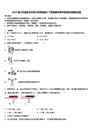 2024届江苏省东台市第六教育联盟八下物理期末教学质量检测模拟试题含解析.doc