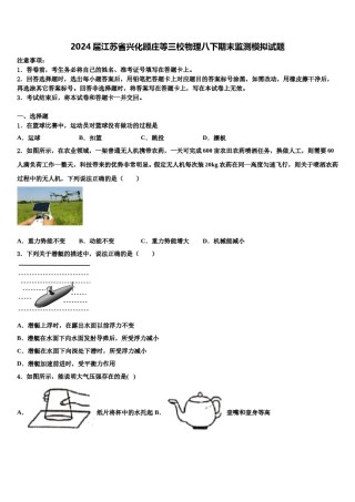 2024届江苏省兴化顾庄等三校物理八下期末监测模拟试题含解析.doc