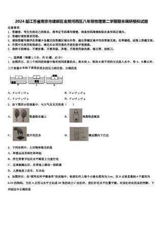 2024届江苏省南京市建邺区金陵河西区八年级物理第二学期期末调研模拟试题含解析.doc