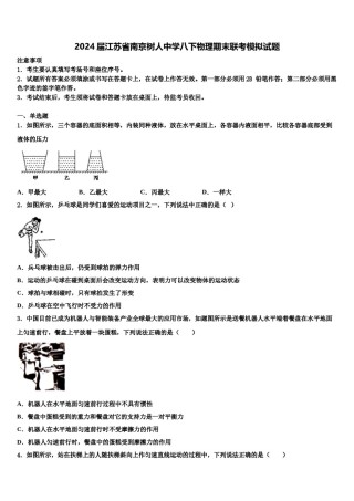 2024届江苏省南京树人中学八下物理期末联考模拟试题含解析.doc