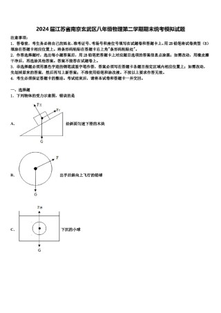 2024届江苏省南京玄武区八年级物理第二学期期末统考模拟试题含解析.doc
