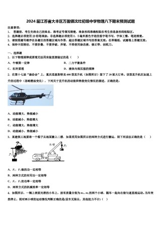 2024届江苏省大丰区万盈镇沈灶初级中学物理八下期末预测试题含解析.doc