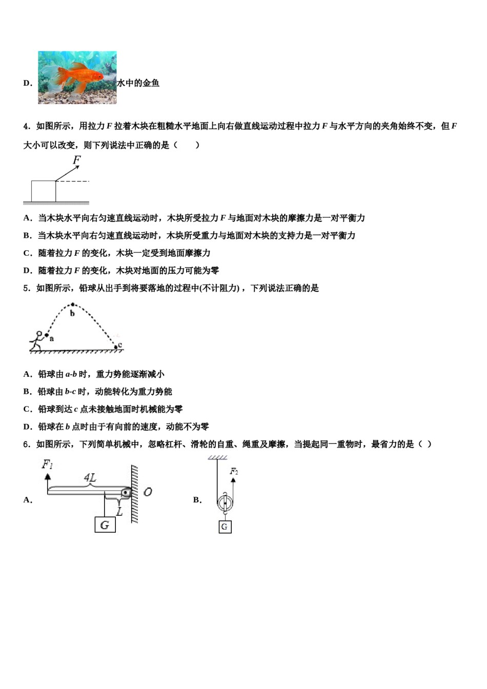 2024届江苏省如皋市常青初级中学八年级物理第二学期期末考试模拟试题含解析.doc_第2页