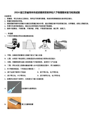 2024届江苏省常州市武进星辰实验学校八下物理期末复习检测试题含解析.doc