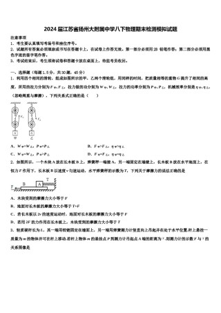 2024届江苏省扬州大附属中学八下物理期末检测模拟试题含解析.doc