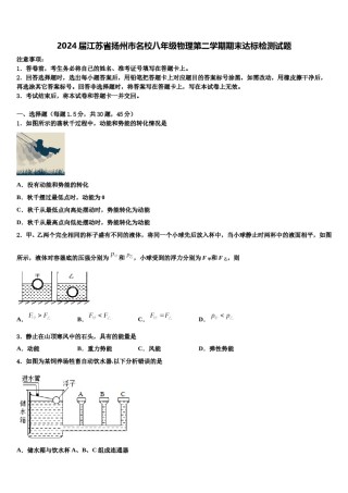 2024届江苏省扬州市名校八年级物理第二学期期末达标检测试题含解析.doc