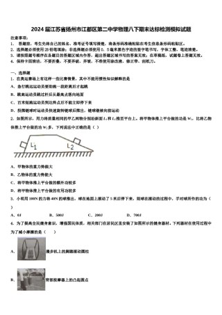 2024届江苏省扬州市江都区第二中学物理八下期末达标检测模拟试题含解析.doc