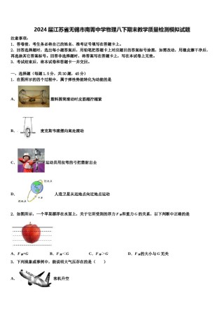 2024届江苏省无锡市南菁中学物理八下期末教学质量检测模拟试题含解析.doc