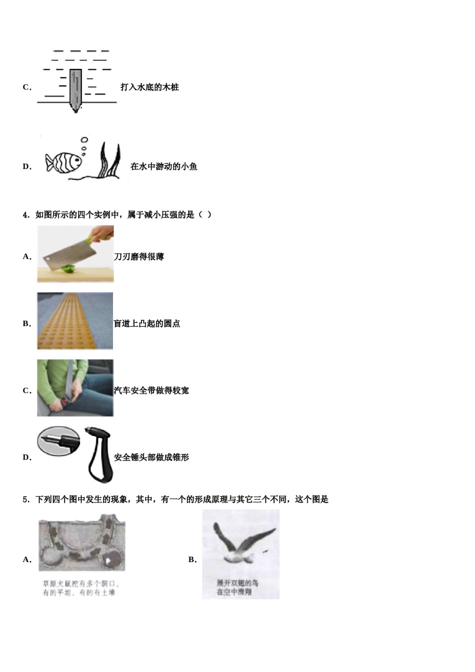 2024届江苏省无锡市澄西片八年级物理第二学期期末监测试题含解析.doc_第2页