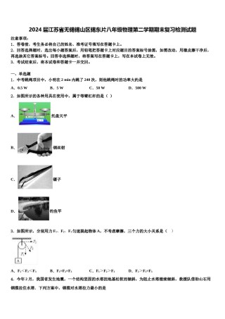 2024届江苏省无锡锡山区锡东片八年级物理第二学期期末复习检测试题含解析.doc