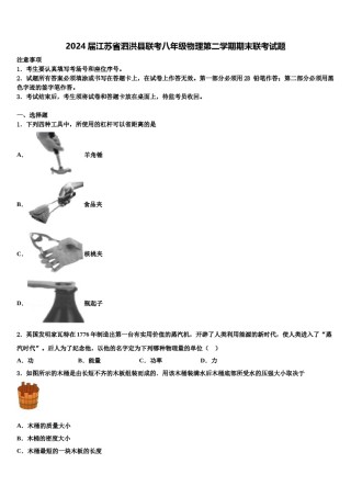 2024届江苏省泗洪县联考八年级物理第二学期期末联考试题含解析.doc