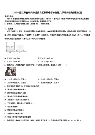 2024届江苏省泰兴市城黄北区教研中学心物理八下期末经典模拟试题含解析.doc