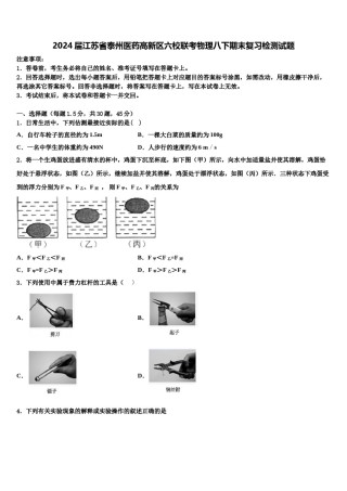 2024届江苏省泰州医药高新区六校联考物理八下期末复习检测试题含解析.doc