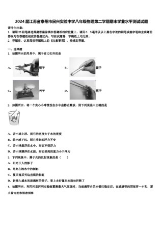 2024届江苏省泰州市民兴实验中学八年级物理第二学期期末学业水平测试试题含解析.doc