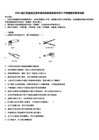 2024届江苏省连云港市海州区新海实验中学八下物理期末联考试题含解析.doc