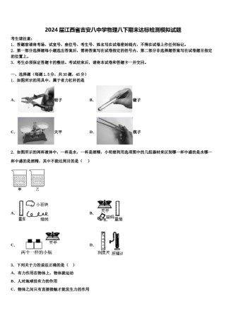 2024届江西省吉安八中学物理八下期末达标检测模拟试题含解析.doc