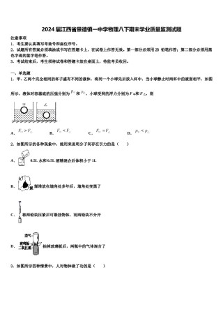 2024届江西省景德镇一中学物理八下期末学业质量监测试题含解析.doc
