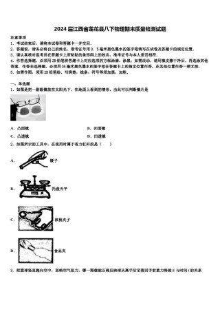 2024届江西省莲花县八下物理期末质量检测试题含解析.doc