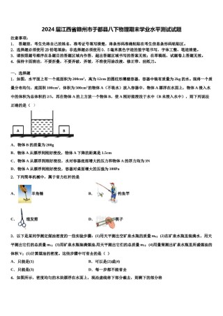 2024届江西省赣州市于都县八下物理期末学业水平测试试题含解析.doc