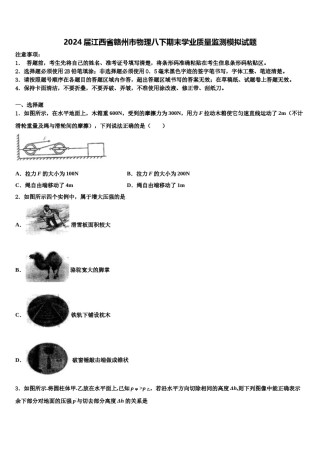 2024届江西省赣州市物理八下期末学业质量监测模拟试题含解析.doc