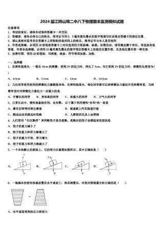 2024届江阴山观二中八下物理期末监测模拟试题含解析.doc