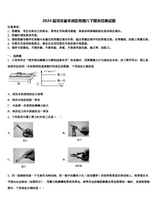 2024届河北省丰润区物理八下期末经典试题含解析.doc