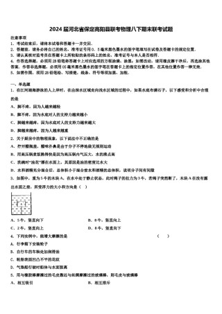 2024届河北省保定高阳县联考物理八下期末联考试题含解析.doc