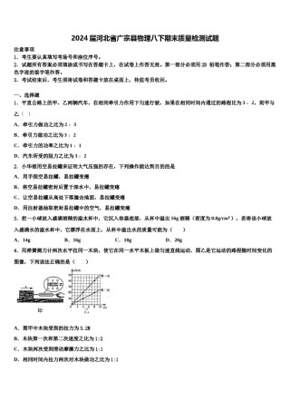 2024届河北省广宗县物理八下期末质量检测试题含解析.doc
