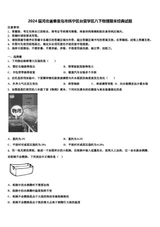 2024届河北省秦皇岛市抚宁区台营学区八下物理期末经典试题含解析.doc