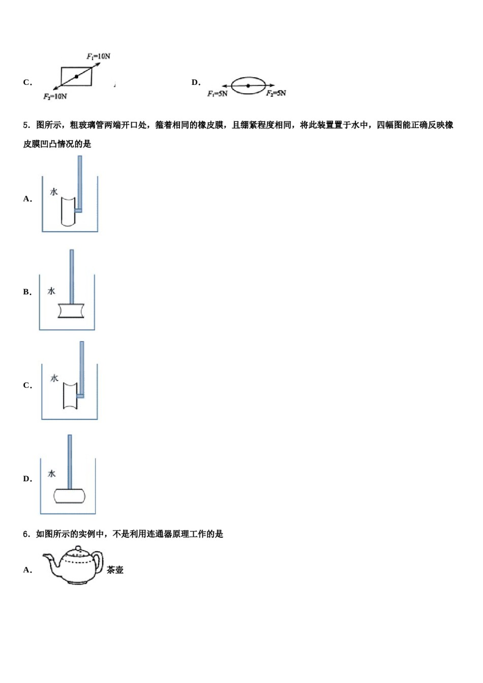 2024届河北省邯郸市磁县八年级物理第二学期期末综合测试模拟试题含解析.doc_第2页