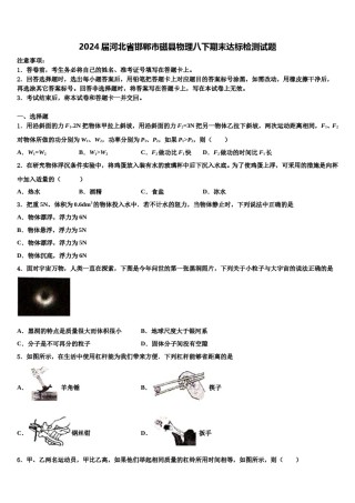 2024届河北省邯郸市磁县物理八下期末达标检测试题含解析.doc