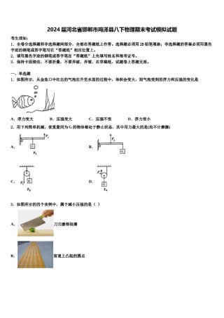 2024届河北省邯郸市鸡泽县八下物理期末考试模拟试题含解析.doc