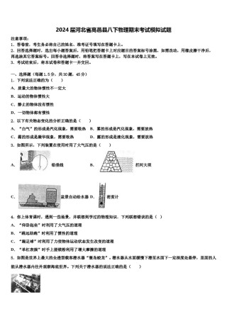 2024届河北省高邑县八下物理期末考试模拟试题含解析.doc