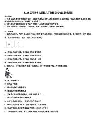 2024届河南省临颍县八下物理期末考试模拟试题含解析.doc