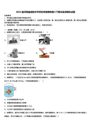 2024届河南省信阳市平桥区明港镇物理八下期末监测模拟试题含解析.doc