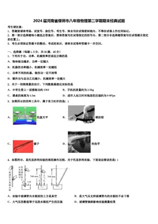 2024届河南省偃师市八年级物理第二学期期末经典试题含解析.doc