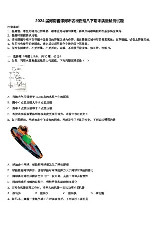 2024届河南省漯河市名校物理八下期末质量检测试题含解析.doc