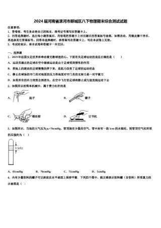 2024届河南省漯河市郾城区八下物理期末综合测试试题含解析.doc