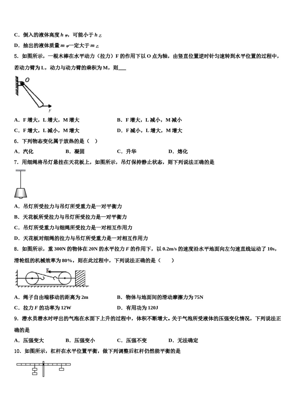 2024届河南省濮阳市县物理八下期末复习检测试题含解析.doc_第2页